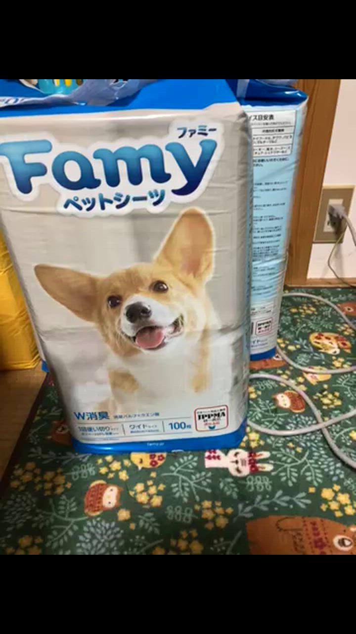 全体のレビュー動画のサムネイル | 0