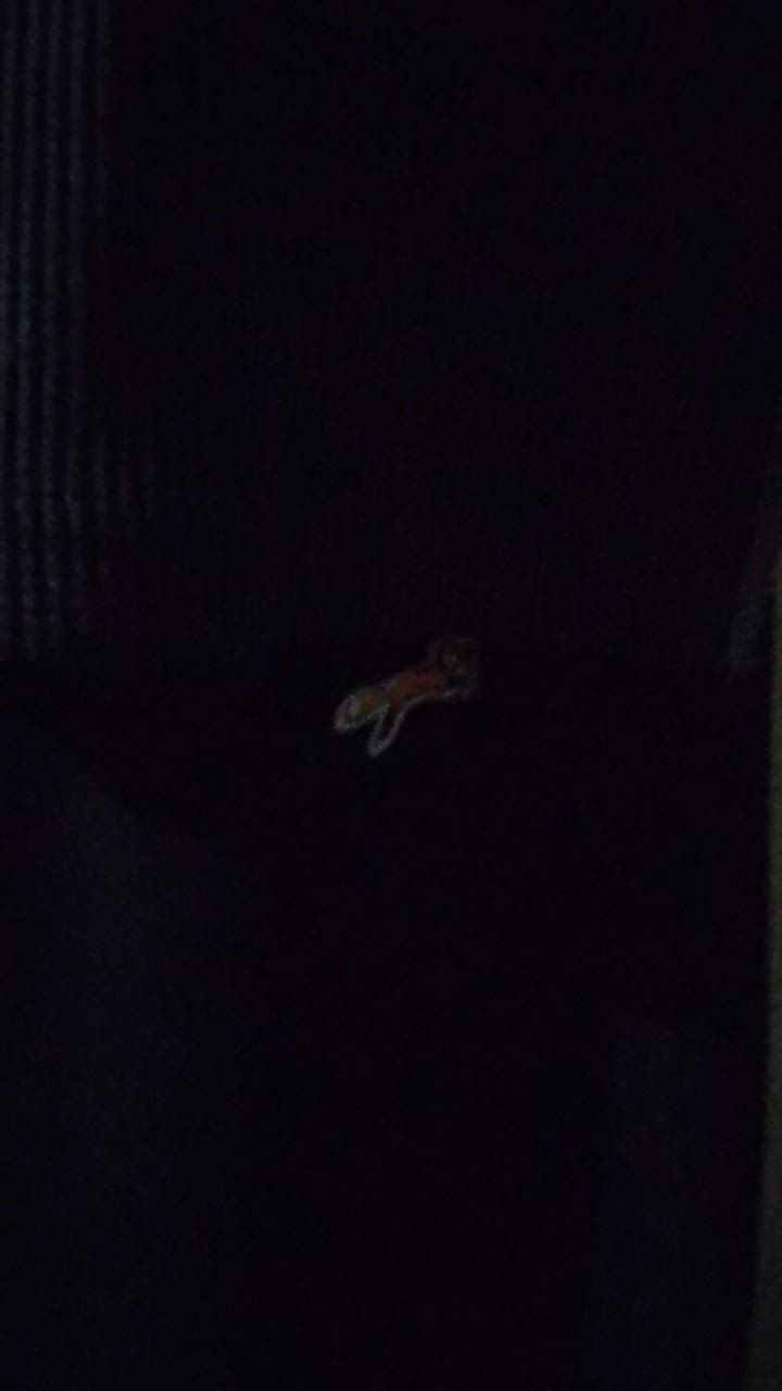 全体のレビュー動画のサムネイル | 1