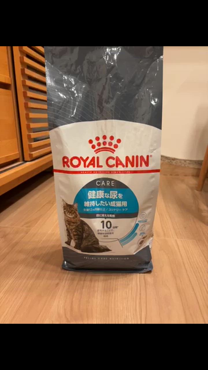 全体のレビュー動画のサムネイル | 0