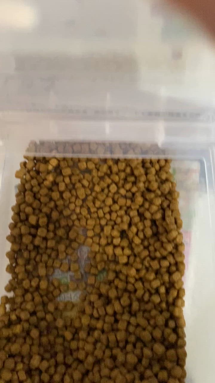 全体のレビュー動画のサムネイル | 4