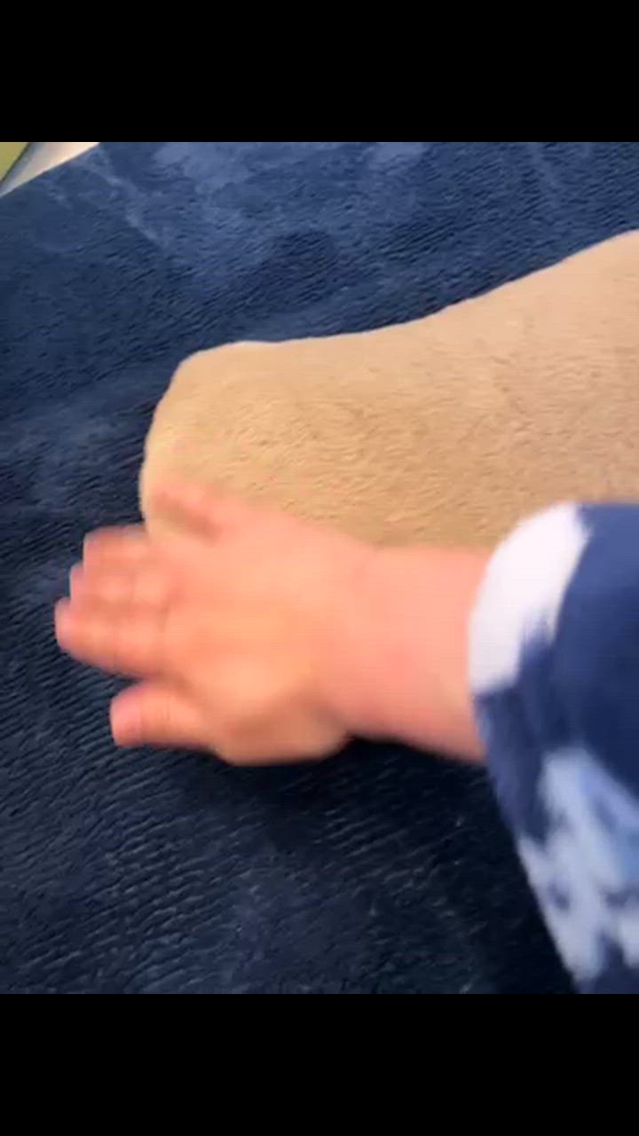 全体のレビュー動画のサムネイル | 0