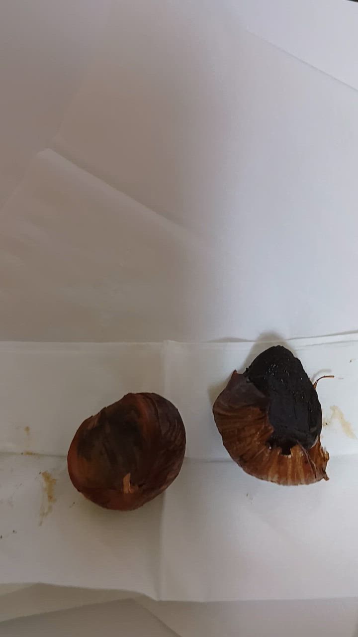 全体のレビュー動画のサムネイル | 3