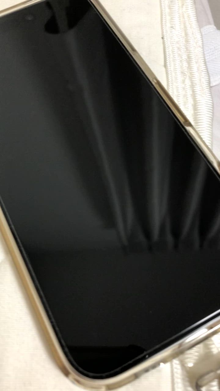 全体のレビュー動画のサムネイル | 12