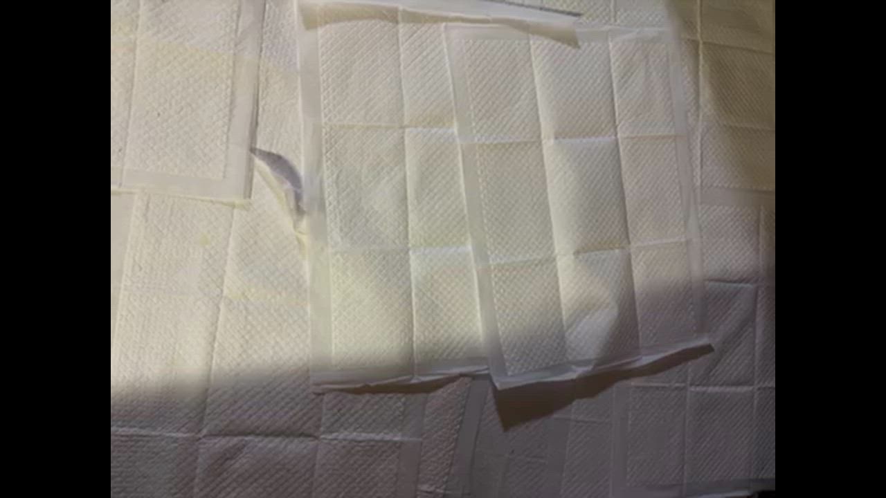 全体のレビュー動画のサムネイル | 6