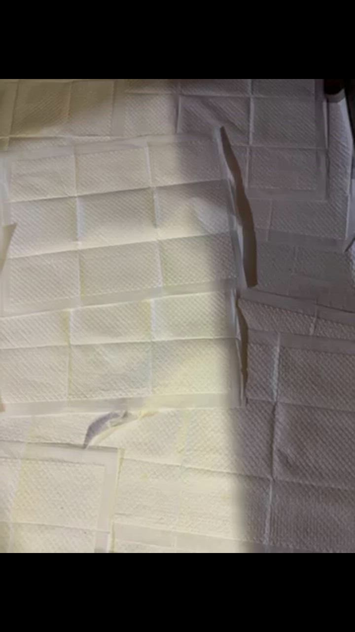 全体のレビュー動画のサムネイル | 5