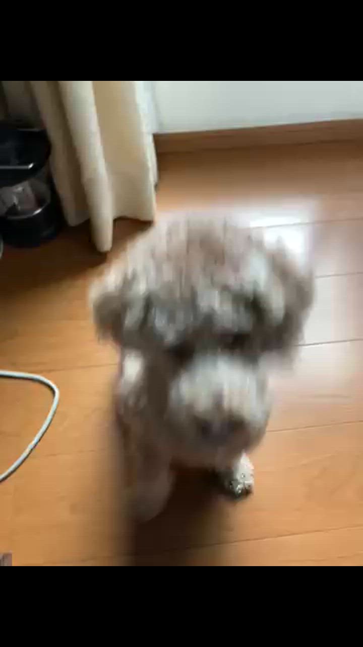 全体のレビュー動画のサムネイル | 3