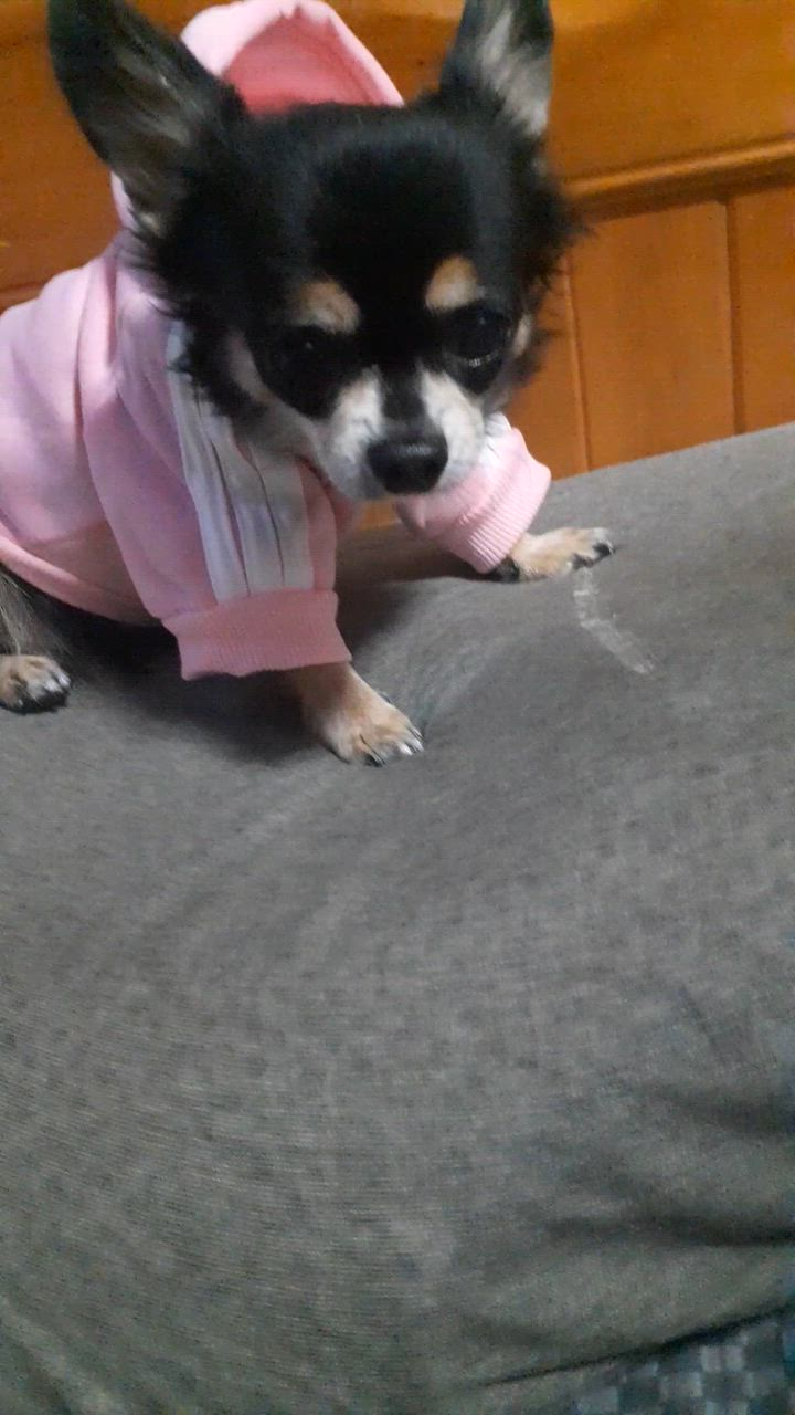 全体のレビュー動画のサムネイル | 1