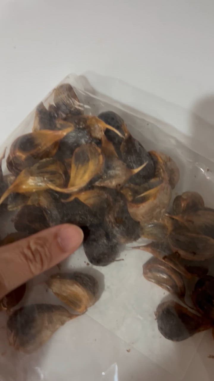 全体のレビュー動画のサムネイル | 0