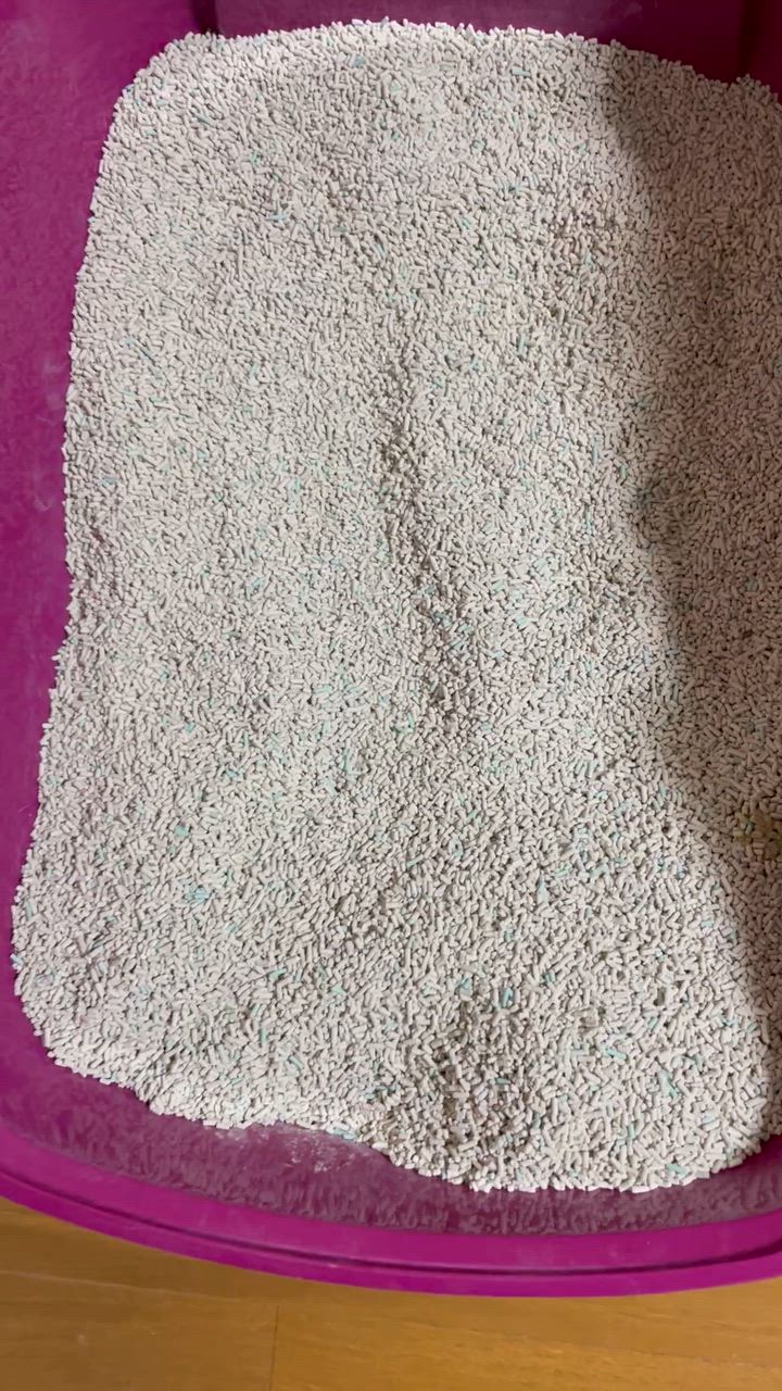 全体のレビュー動画のサムネイル | 0