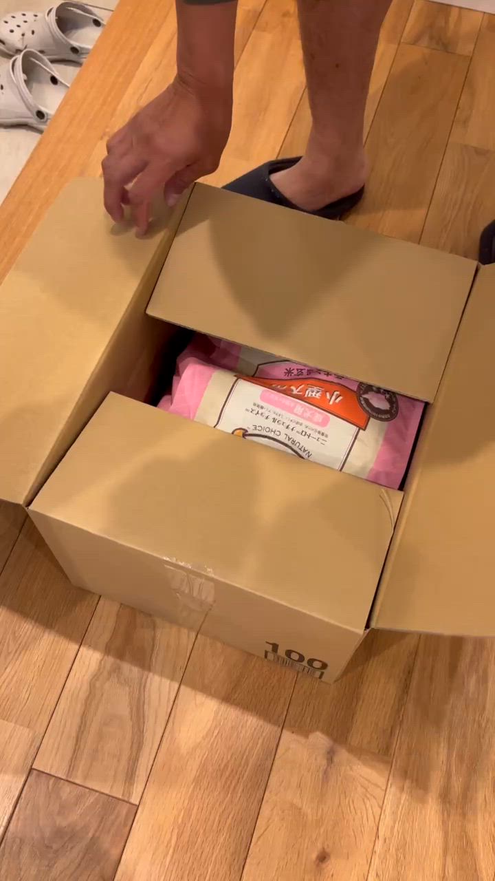 全体のレビュー動画のサムネイル | 2