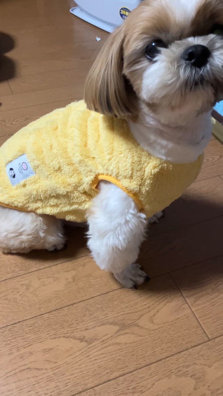 全体のレビュー動画のサムネイル | 0