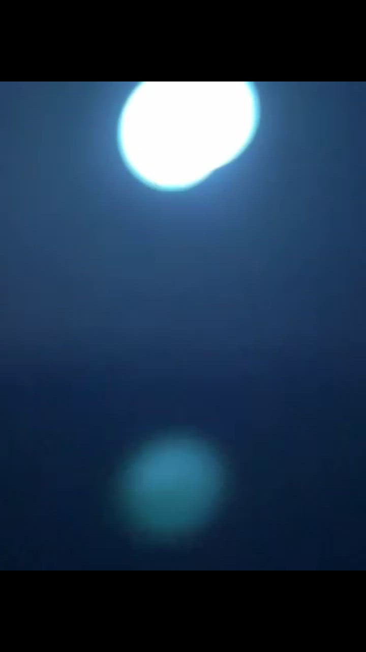 全体のレビュー動画のサムネイル | 0