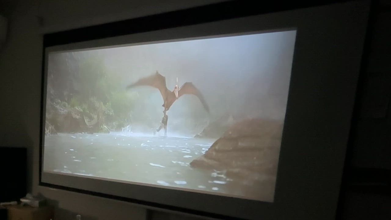 全体のレビュー動画のサムネイル | 0