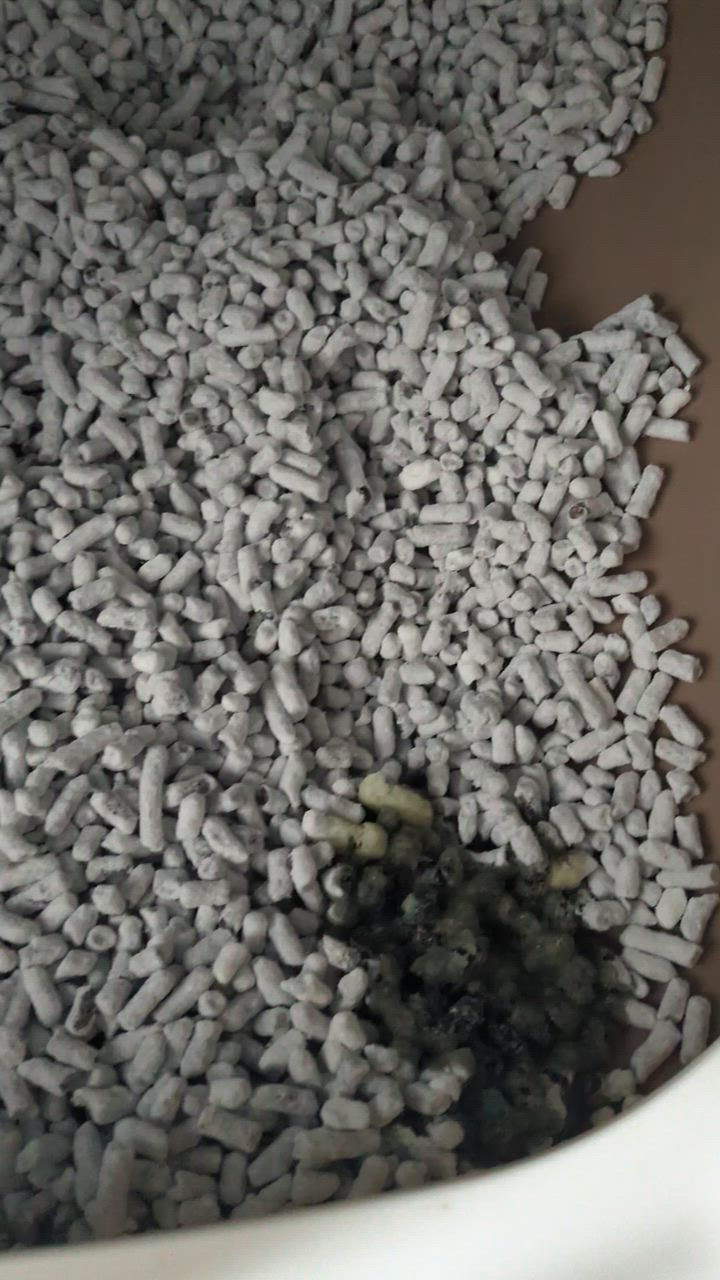 全体のレビュー動画のサムネイル | 0