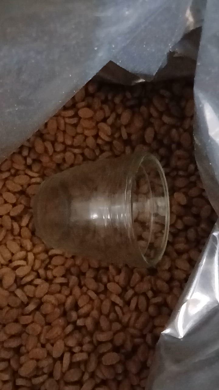 全体のレビュー動画のサムネイル | 0