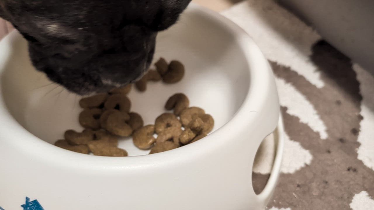 全体のレビュー動画のサムネイル | 0