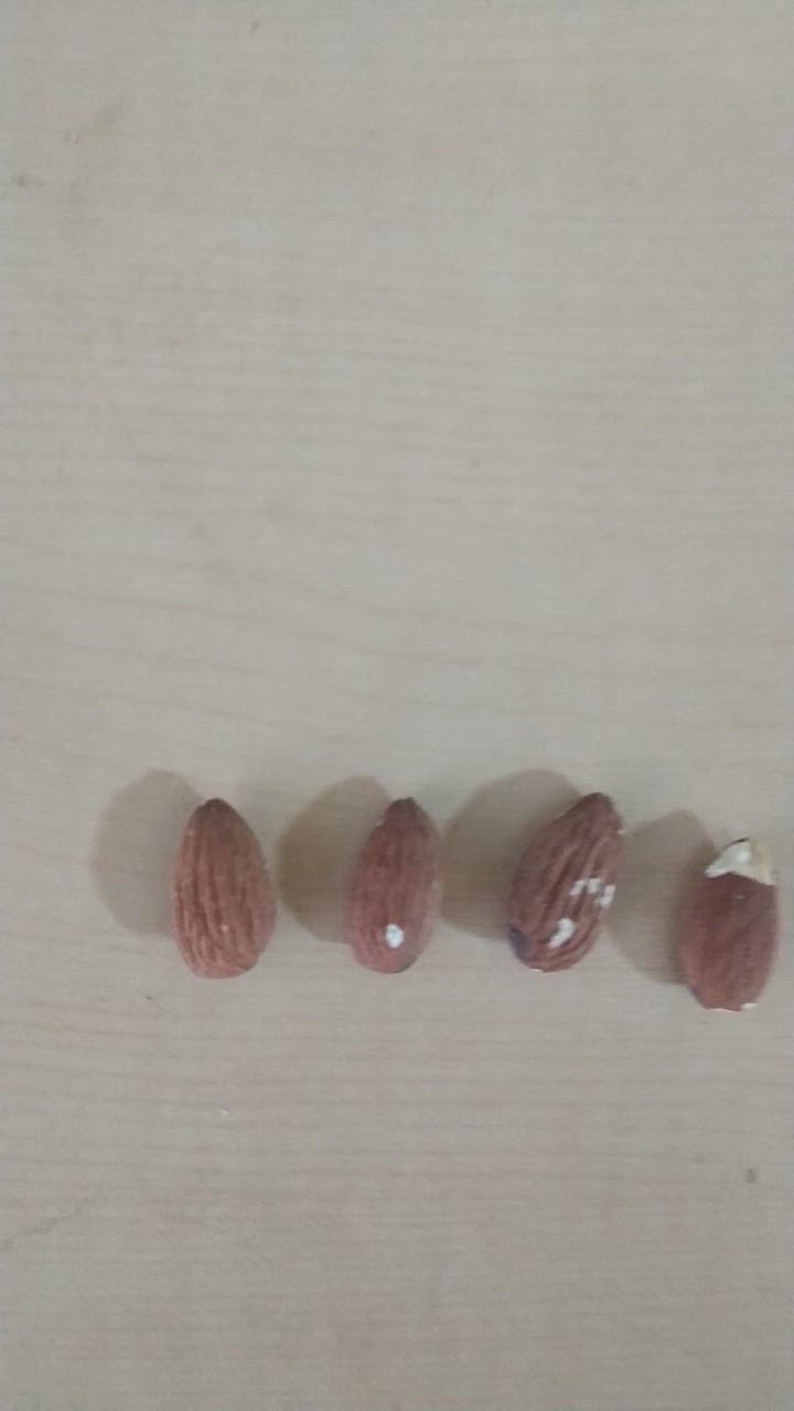 全体のレビュー動画のサムネイル | 12