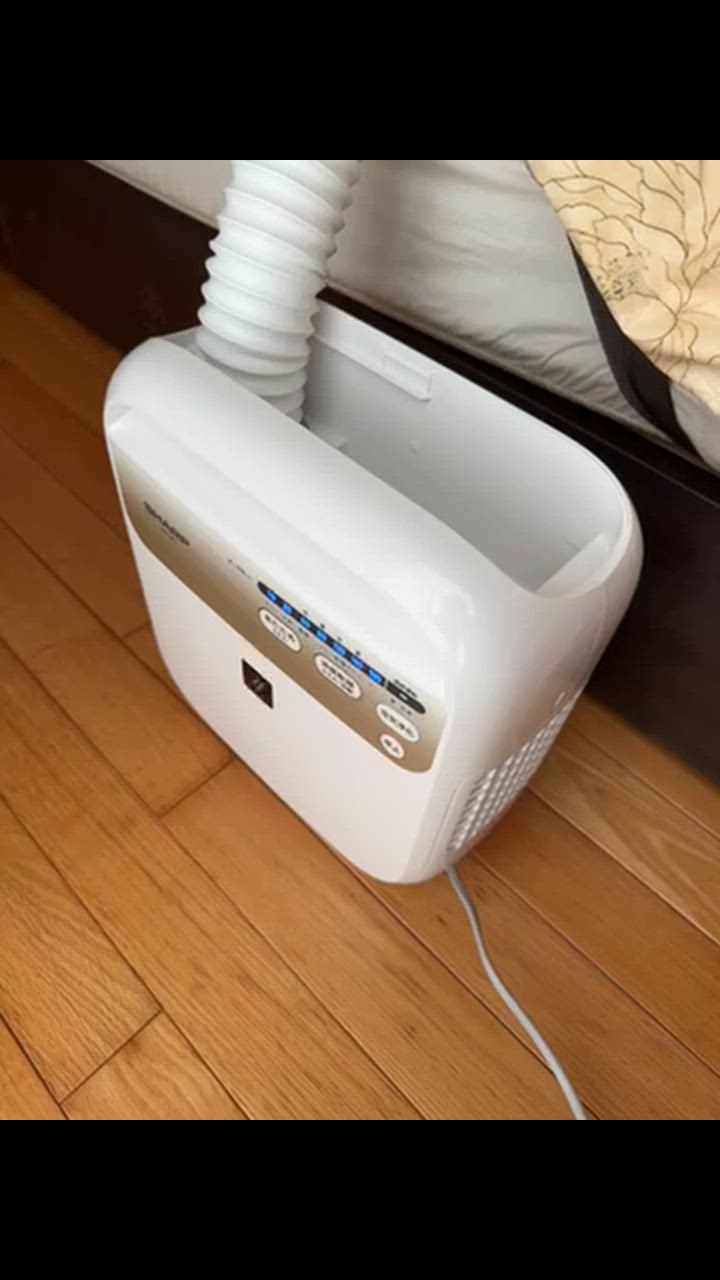 SHARP（シャープ） 布団乾燥機 UD-DF1-W ホワイト系 ふとん乾燥機
