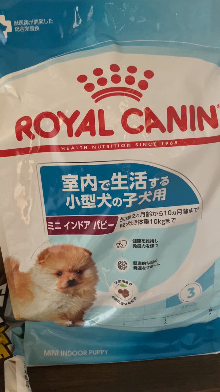 全体のレビュー動画のサムネイル | 0