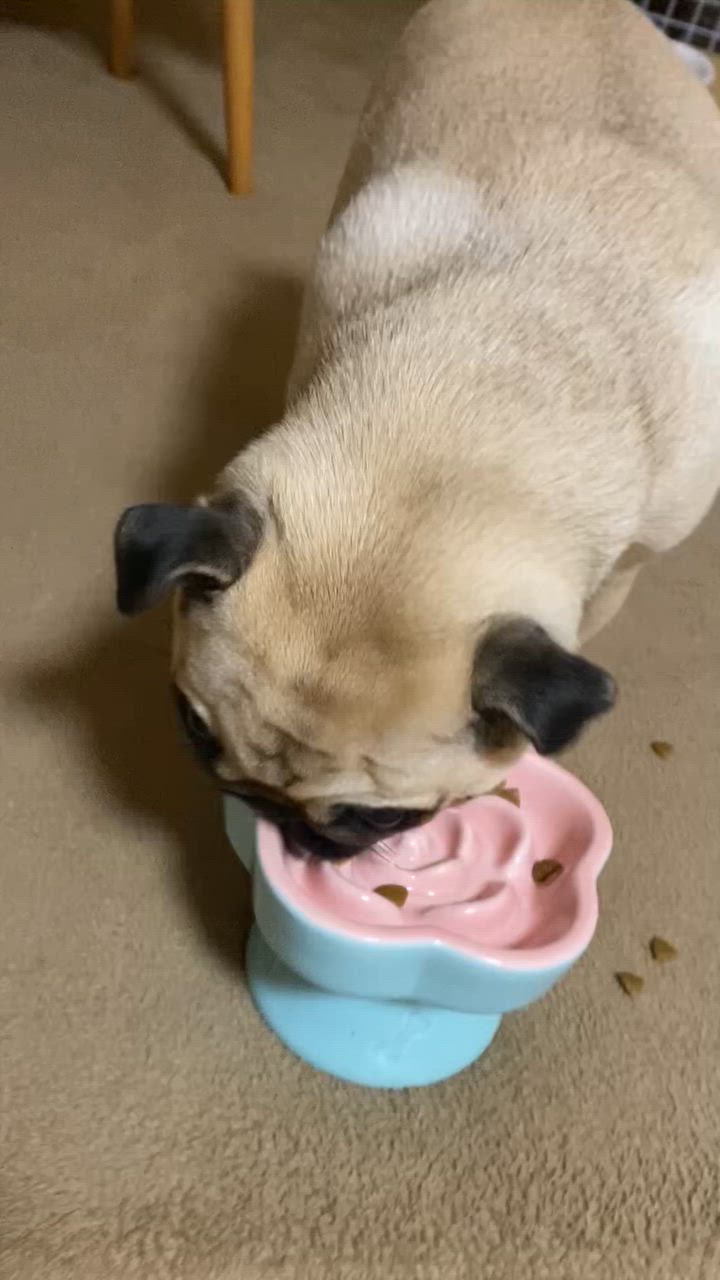 全体のレビュー動画のサムネイル | 0