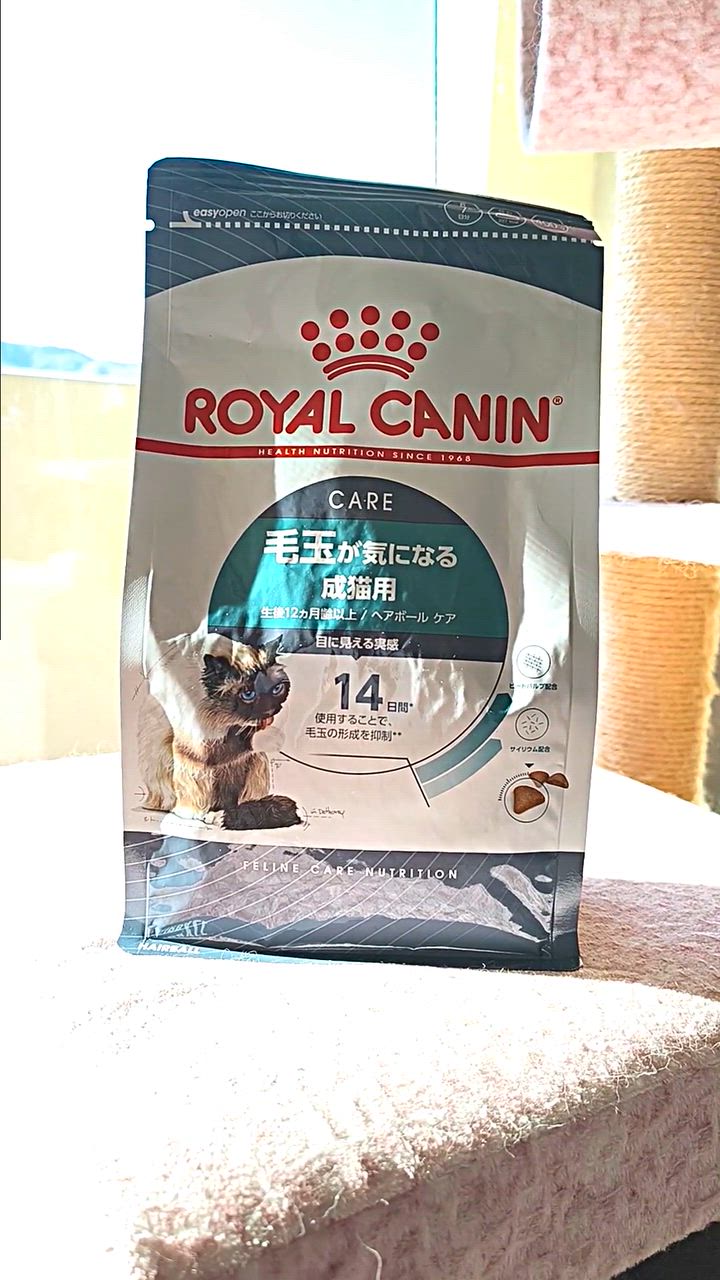 全体のレビュー動画のサムネイル | 0