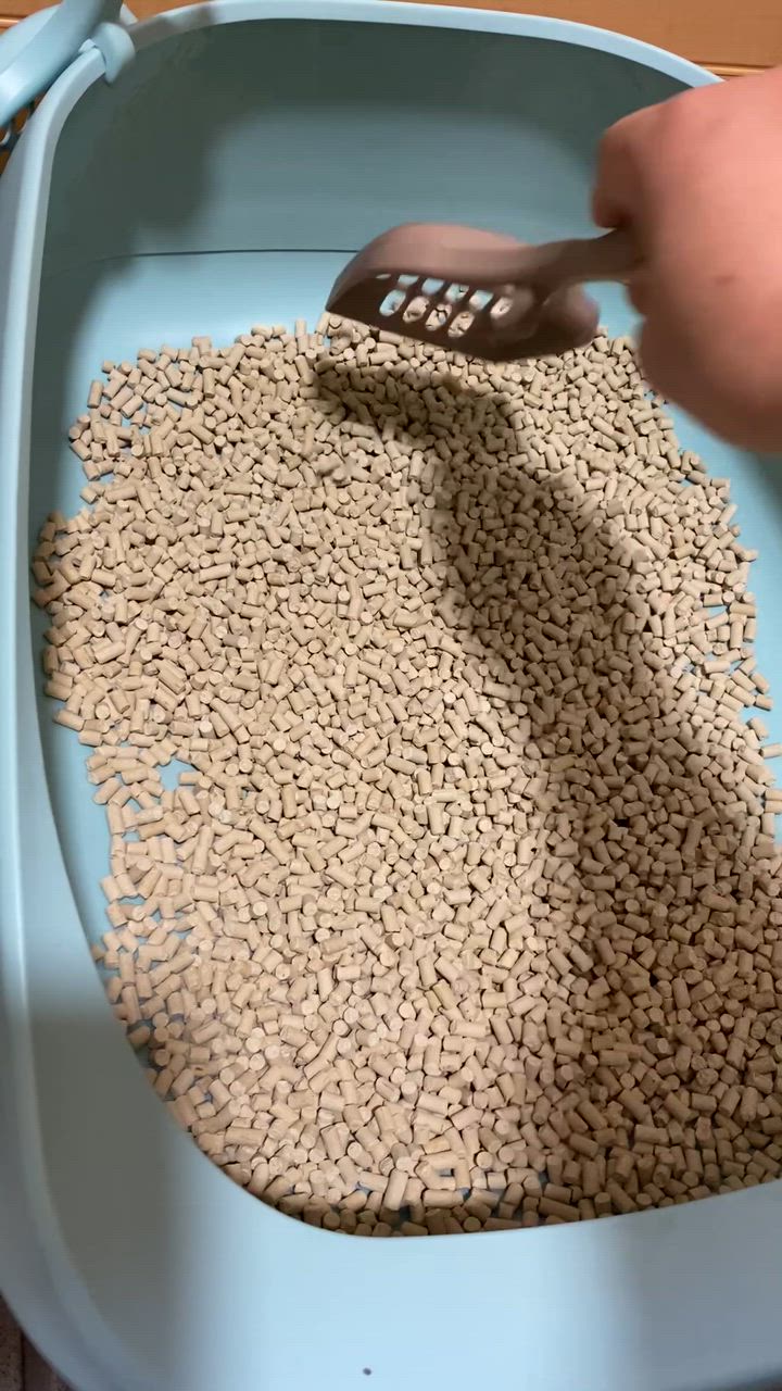 全体のレビュー動画のサムネイル | 0