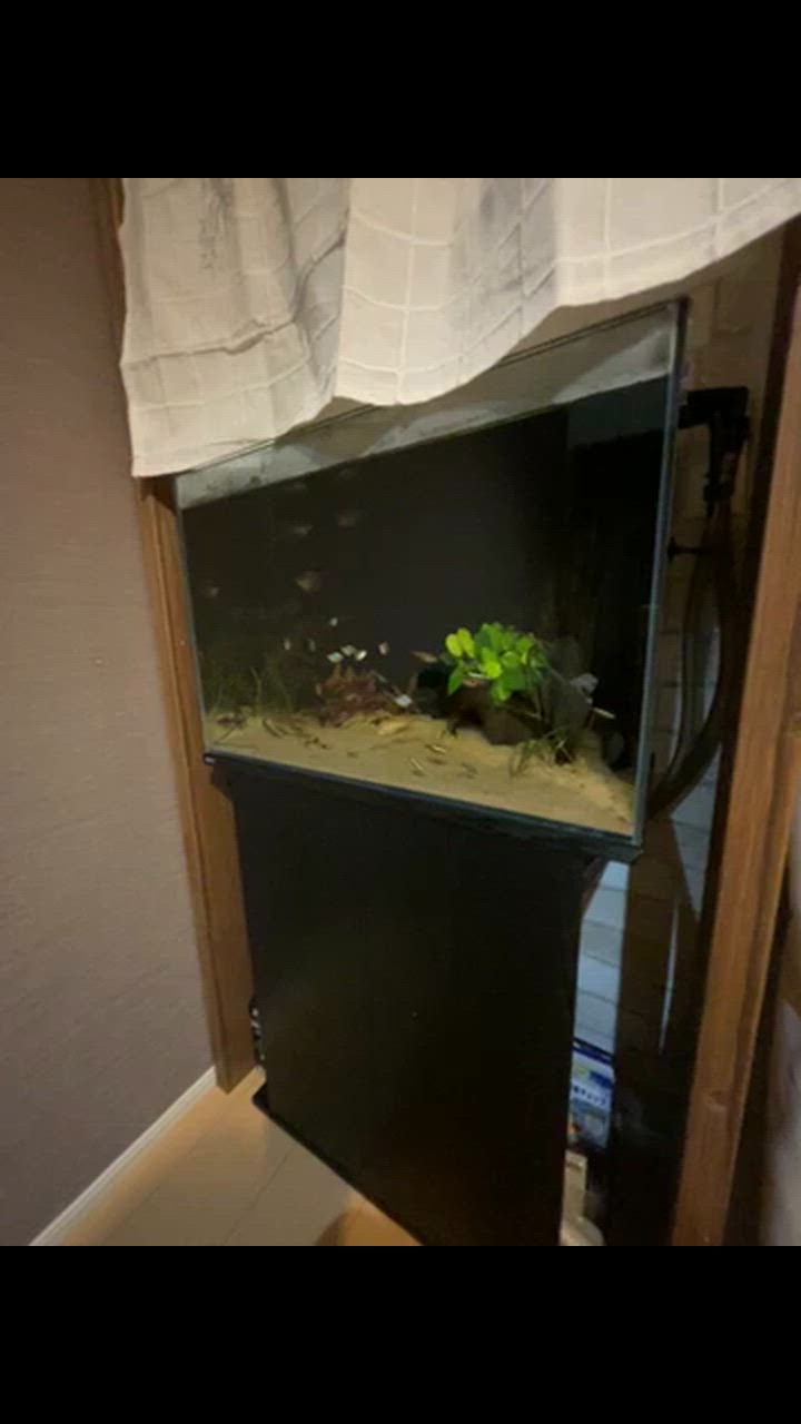 全体のレビュー動画のサムネイル | 0