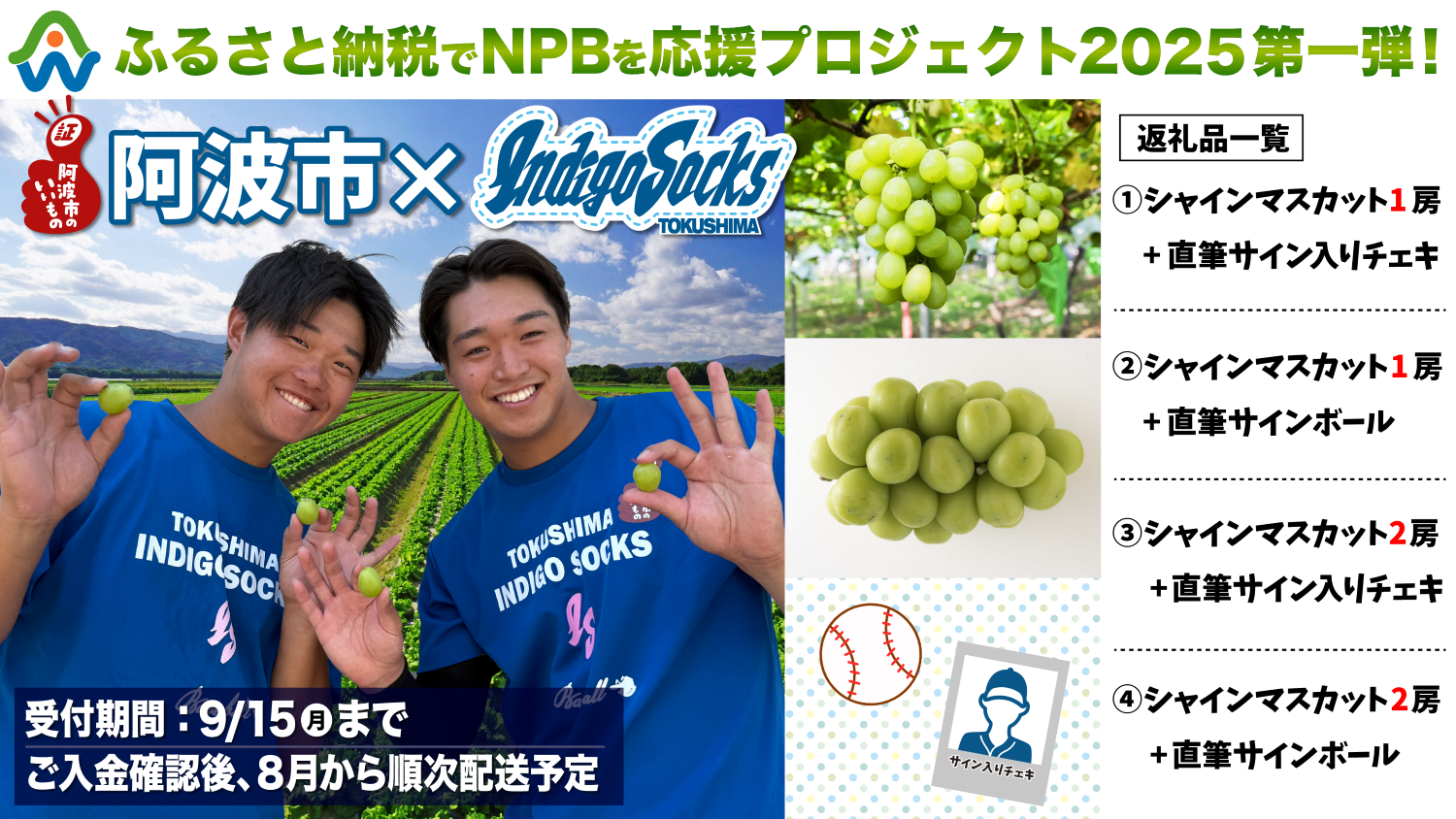 【阿波市コラボ】ふるさと納税のシャインマスカットを食べまくる！【徳島インディゴソックス】