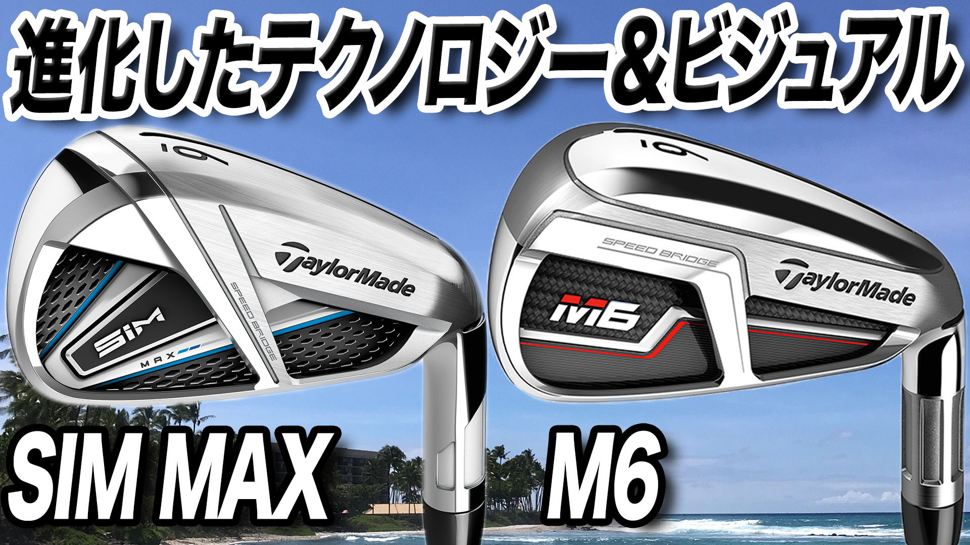 TaylorMade SIM MAX ドライバー M6 アイアンセット　専用 動画】テーラーメイド「SIMMAX & M6アイアン」【レビュー企画