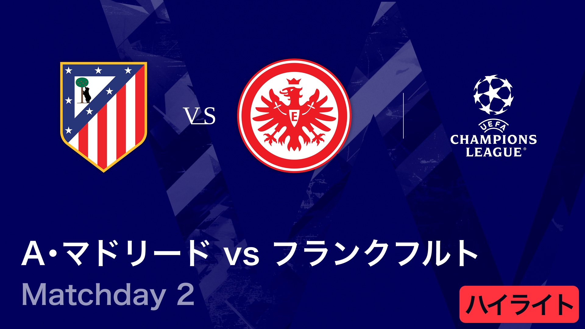 UEFAチャンピオンズリーグ ハイライトDVD 9枚セット 楽天市場