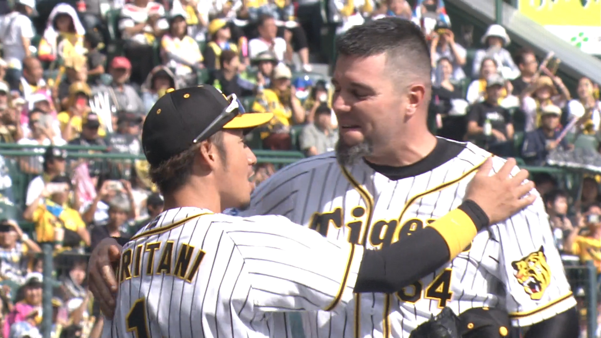 9/29(日)甲子園　阪神対中日(メッセンジャーの引退試合)【アイビーシート1塁側】★雨保証　送料込み(１人でゆっくり観たい方向け) メッセ引退試合☆阪神 vs 中日 9月29日(日) 甲子園 アイビーシート