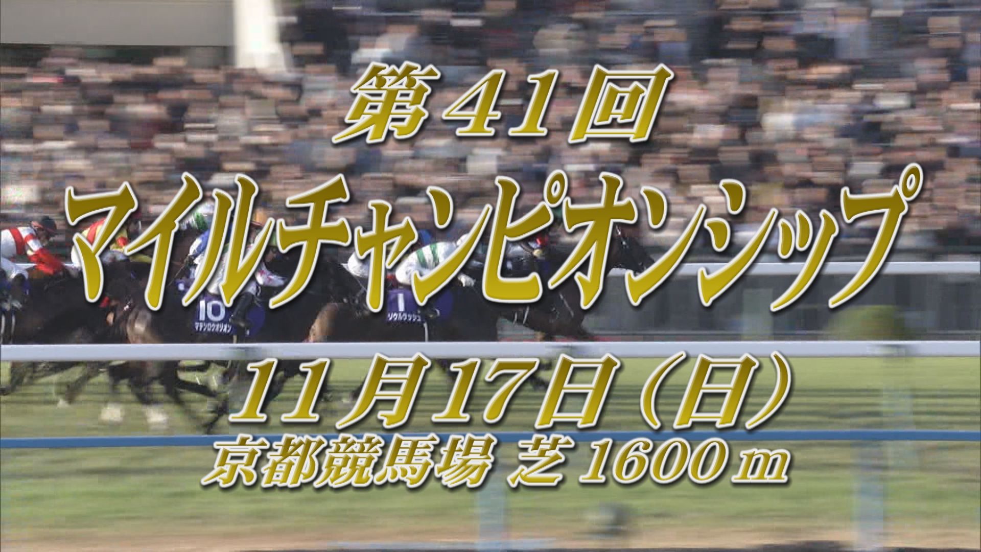 【2024 GＩ マイルチャンピオンシップ】出走予定馬紹介 11/17（日）京都競馬場