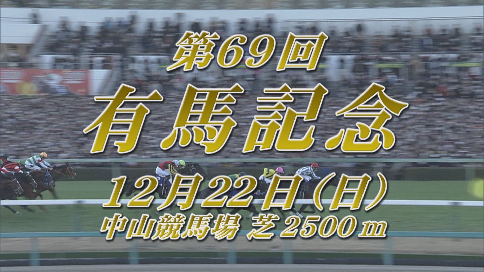 【2024 GＩ 有馬記念】出走予定馬紹介 12/22（日） 中山競馬場