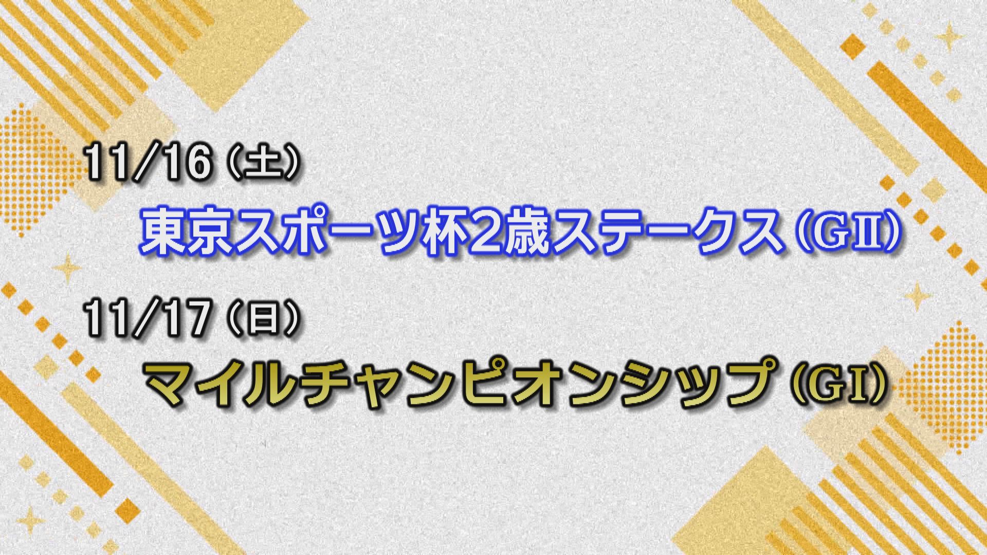 【今週の重賞インフォメーション】東京スポーツ杯２歳Ｓ　11/16（土）