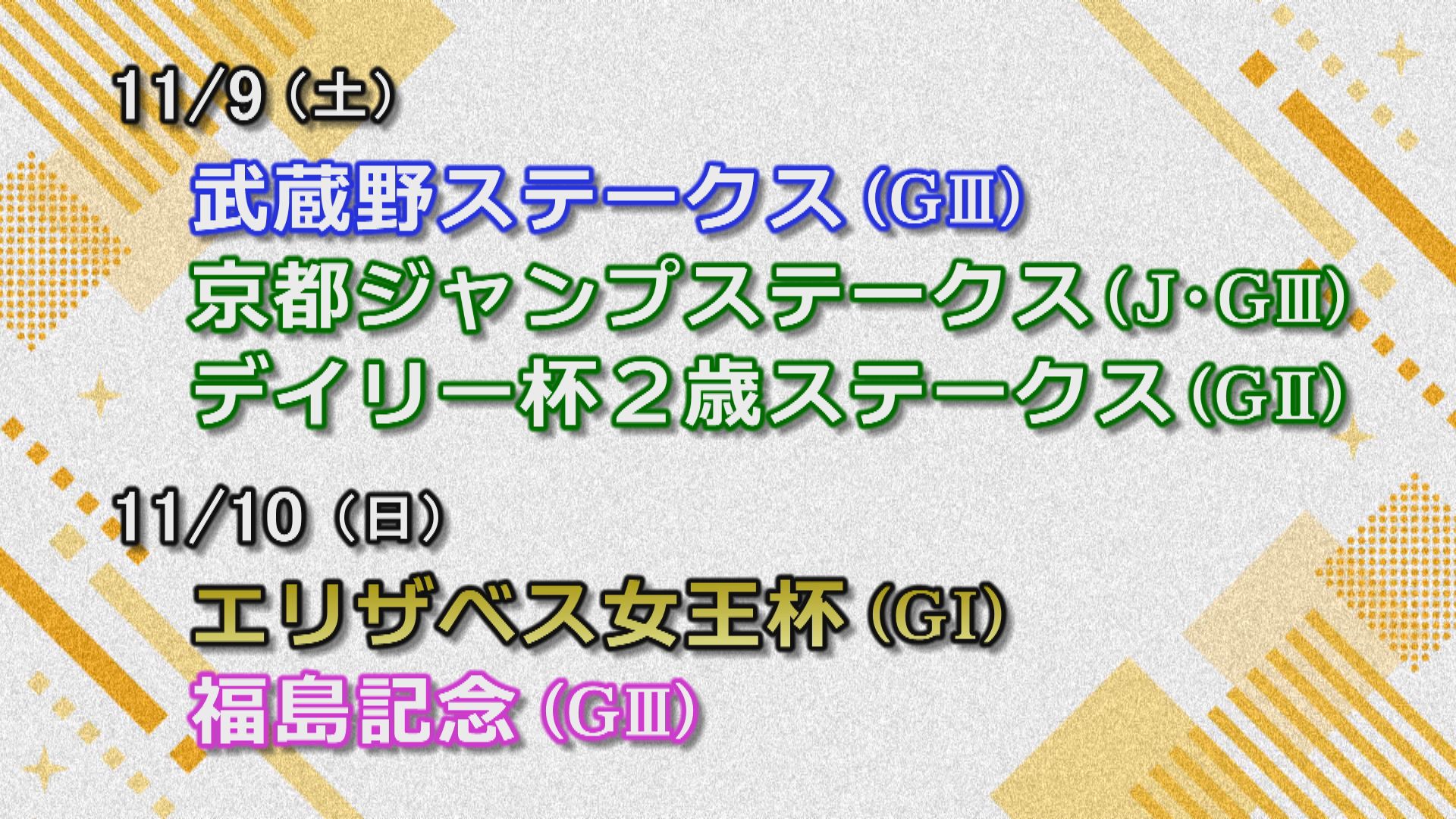 【今週の重賞インフォメーション】デイリー杯２歳Ｓ他　11/9（土）・10（日）