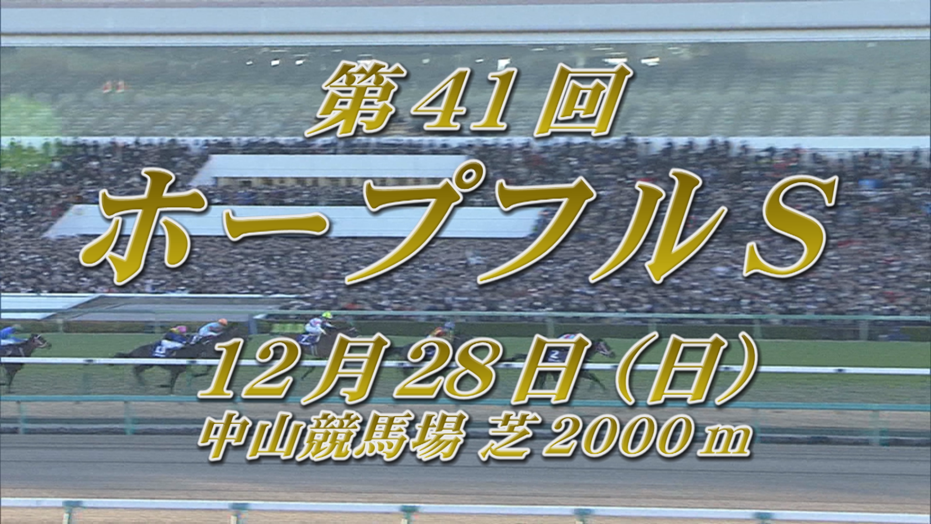 【2024 GＩ ホープフルステークス】 出走予定馬紹介 12/28（土） 中山競馬場