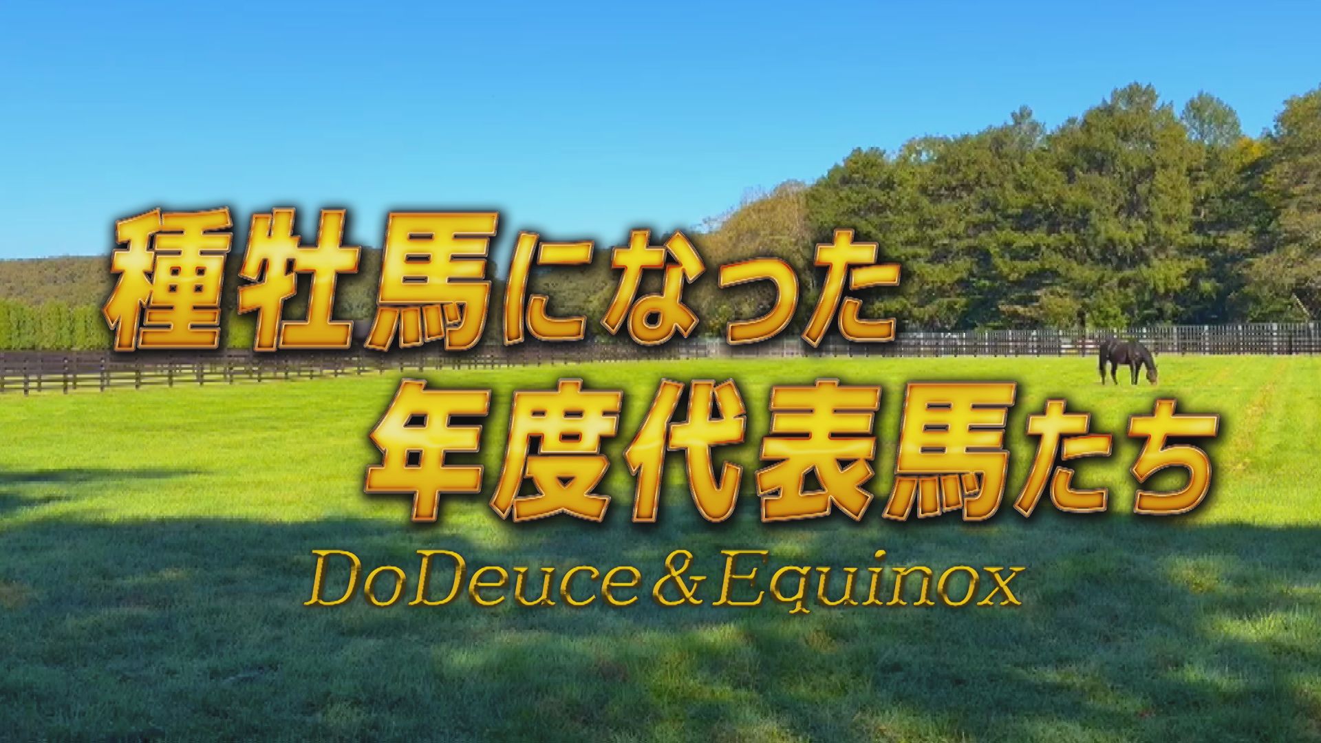 種牡馬になった年度代表馬たち　～ドウデュース・イクイノックス～