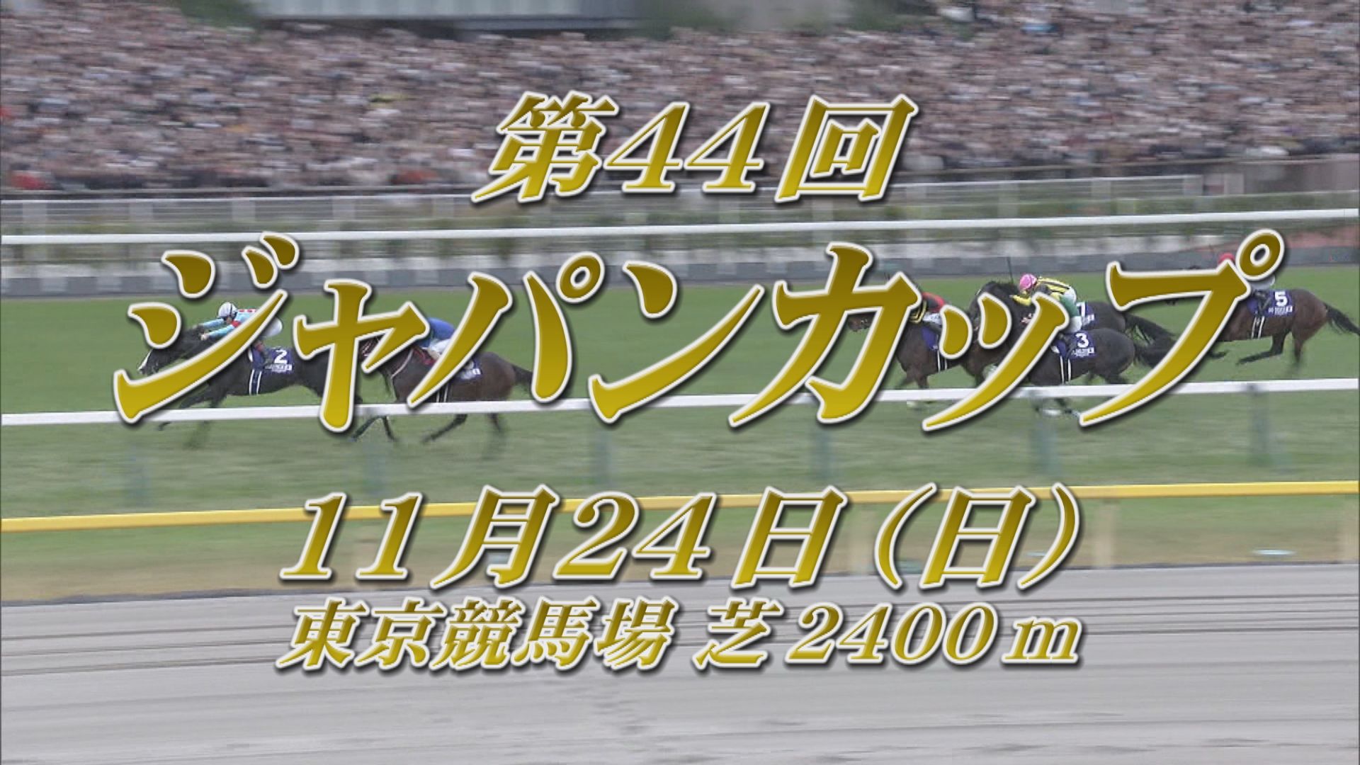 【2024 GＩ ジャパンカップ】出走予定馬紹介 11/24（日）東京競馬場