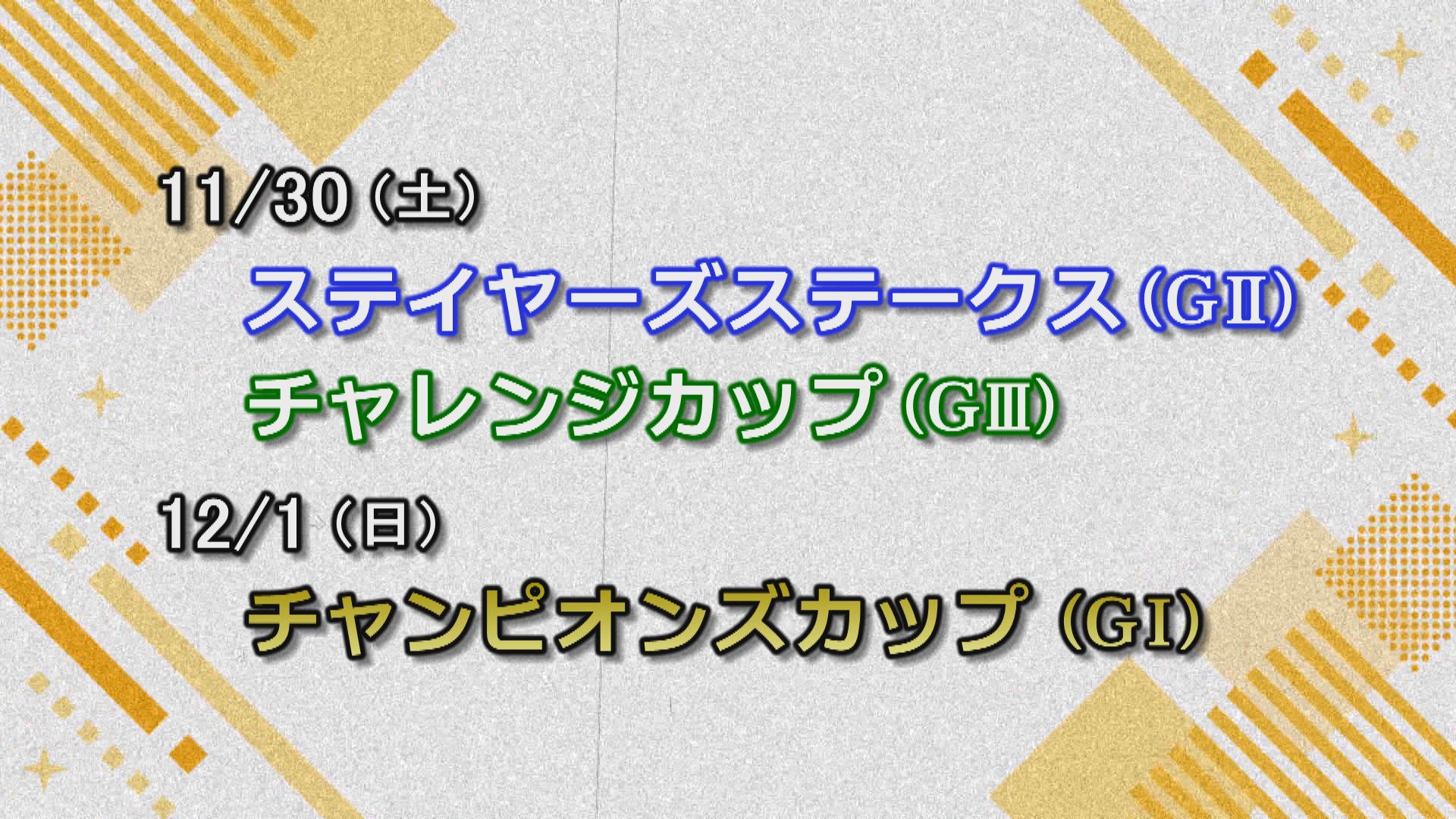 【今週の重賞インフォメーション】ステイヤーズＳ他　11/30（土）