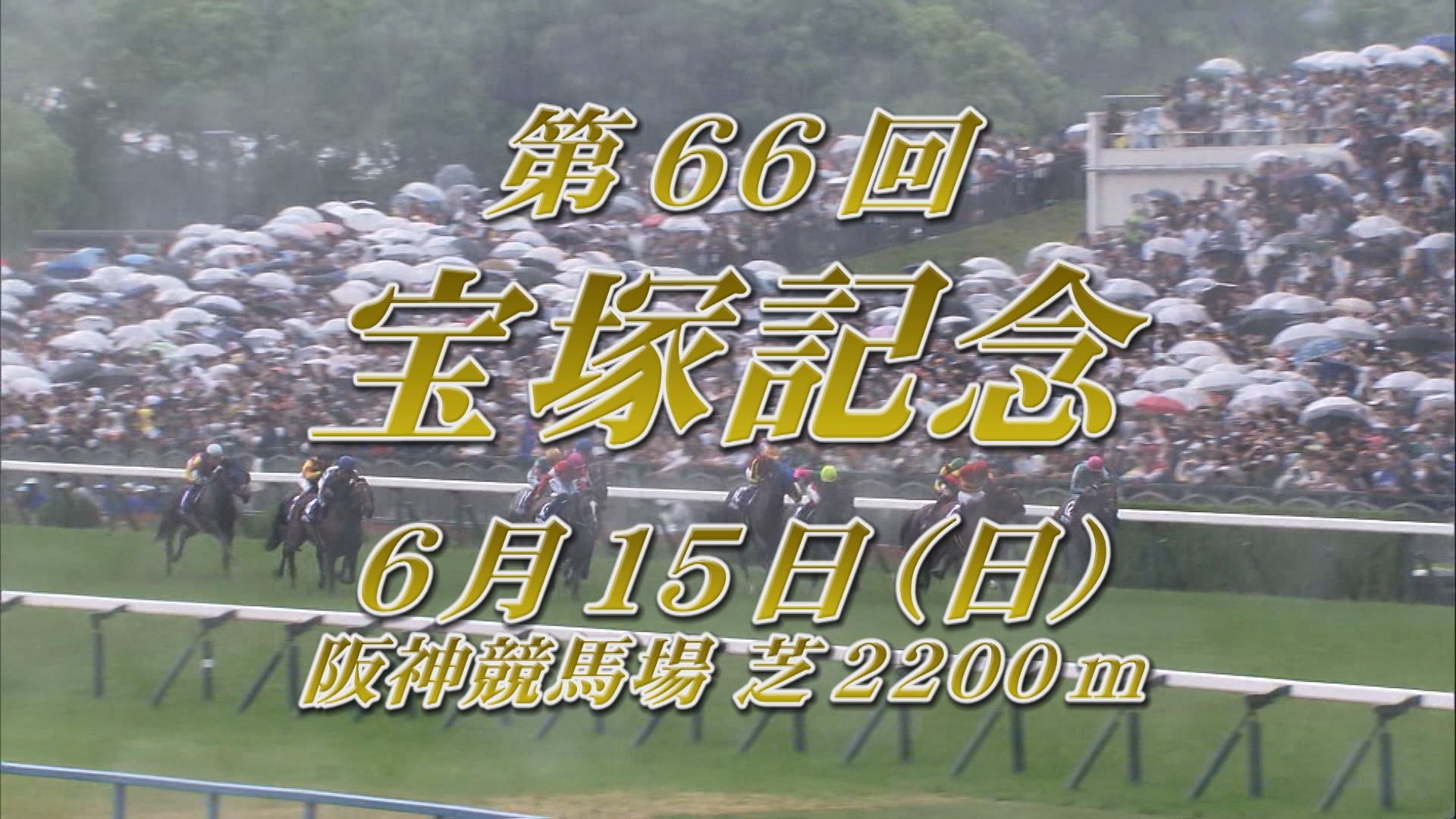 【2025 宝塚記念 GⅠ】出走予定馬紹介 6/15（日）阪神競馬場