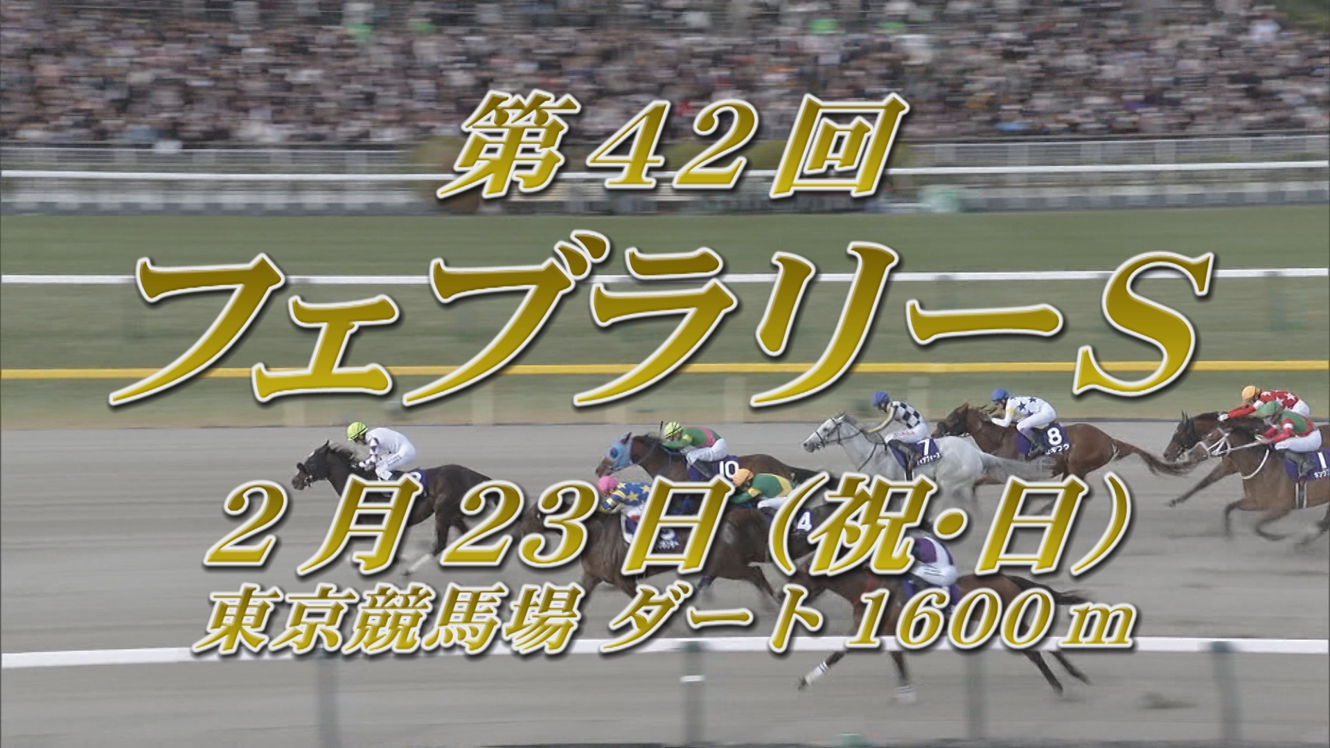 【2025 フェブラリーステークス GＩ】出走予定馬紹介 2/23（祝・日）東京競馬場