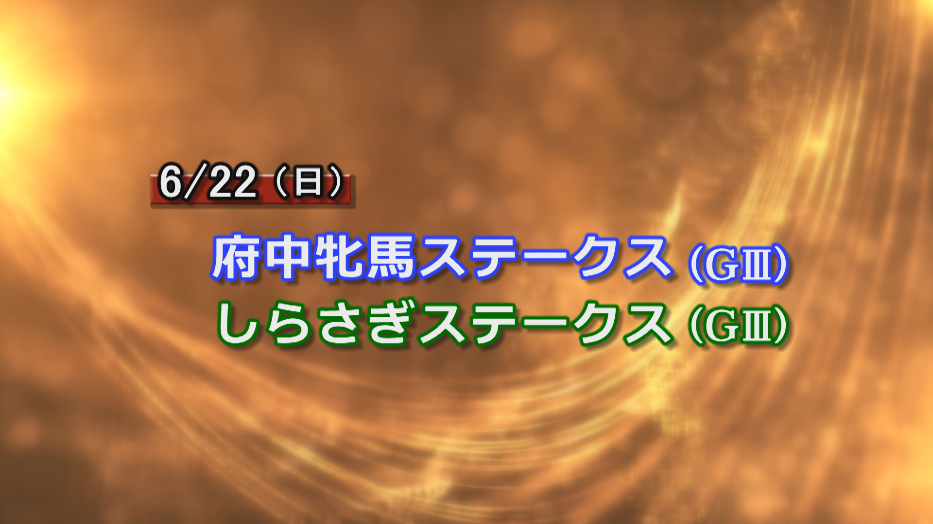 【今週の重賞インフォメーション】府中牝馬Ｓ他　6/22（日）