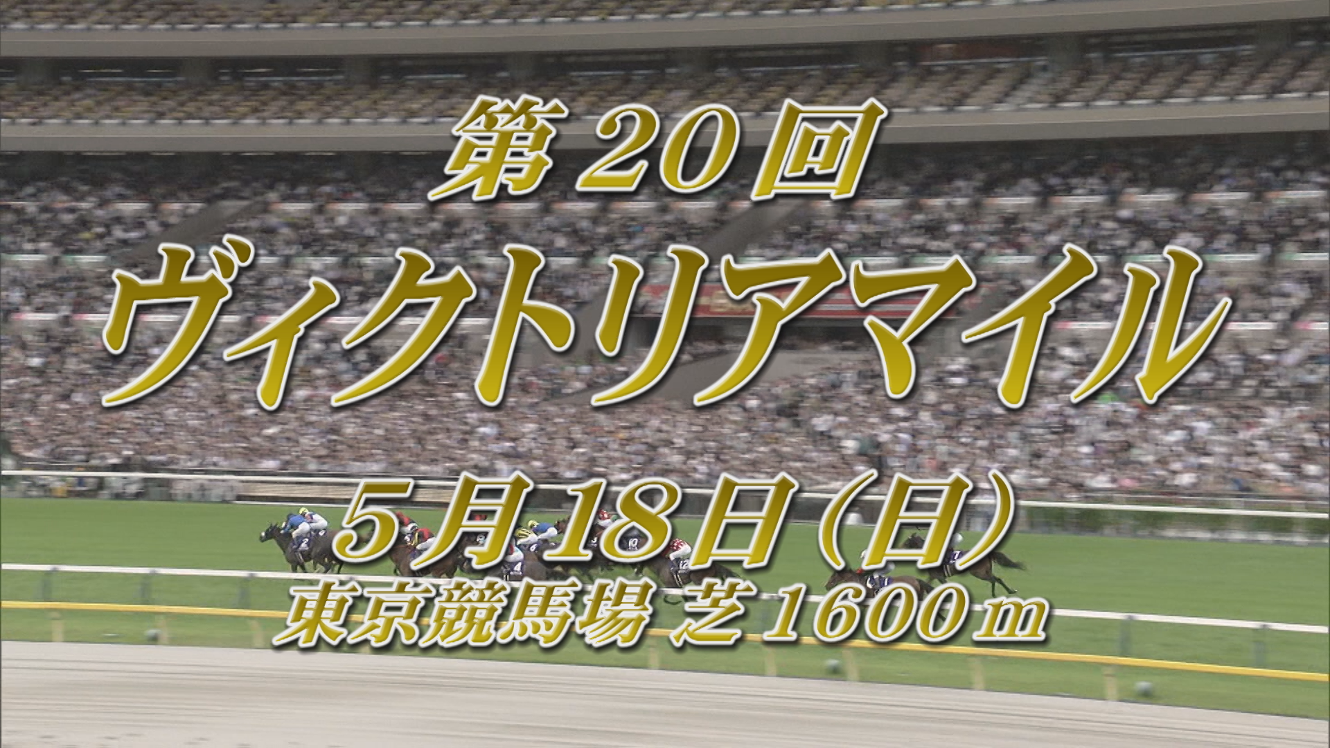 【2025 ヴィクトリアマイル ＧⅠ】出走予定馬紹介 5/18(日) 東京競馬場