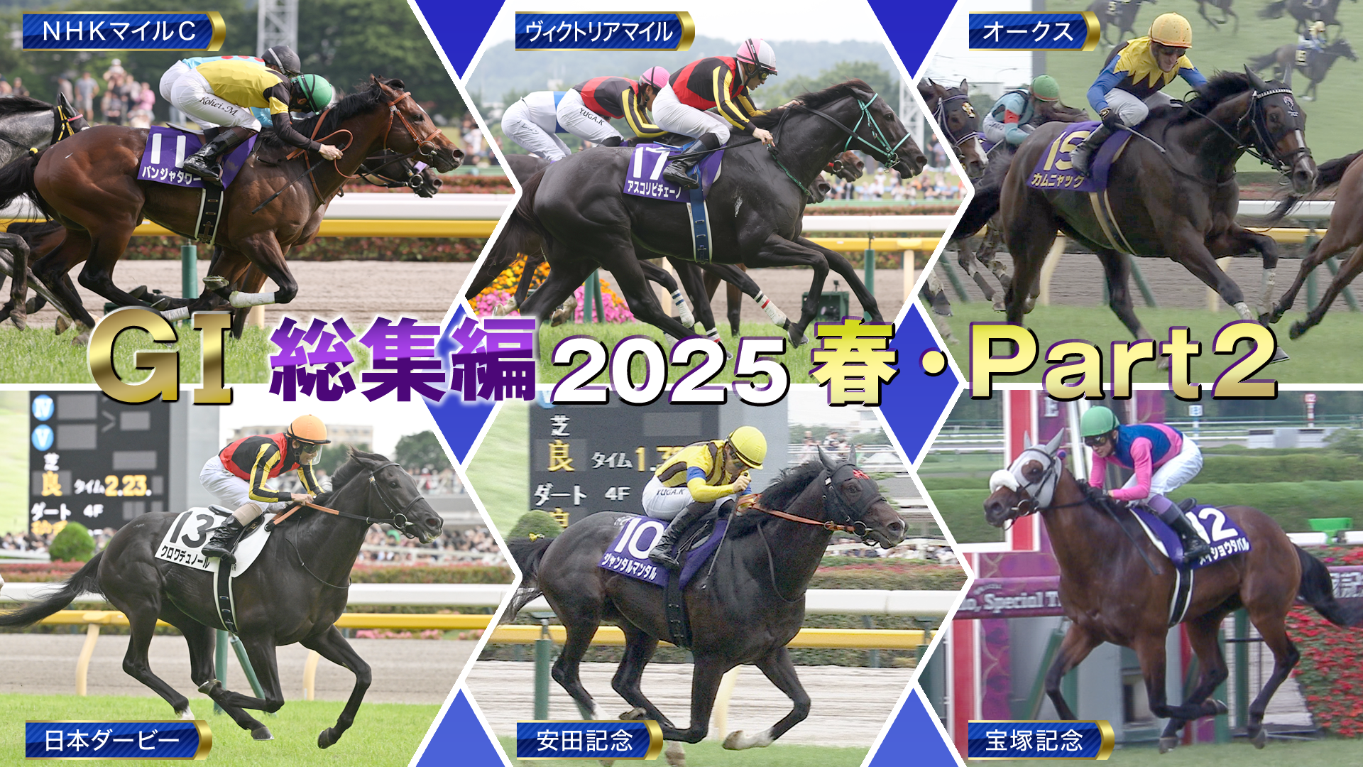 2025 GⅠ総集編 ～春・Part2～　NHKマイルカップ～宝塚記念