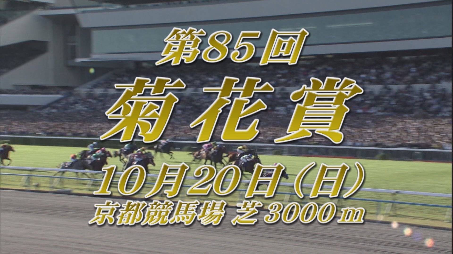 【2024 菊花賞 GⅠ】菊花賞 10/20（日） 京都競馬場