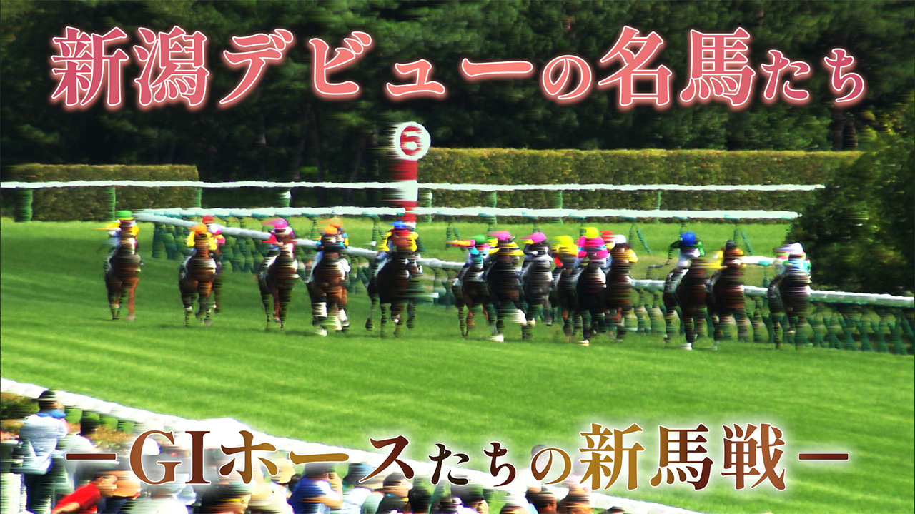 新潟デビューの名馬たち