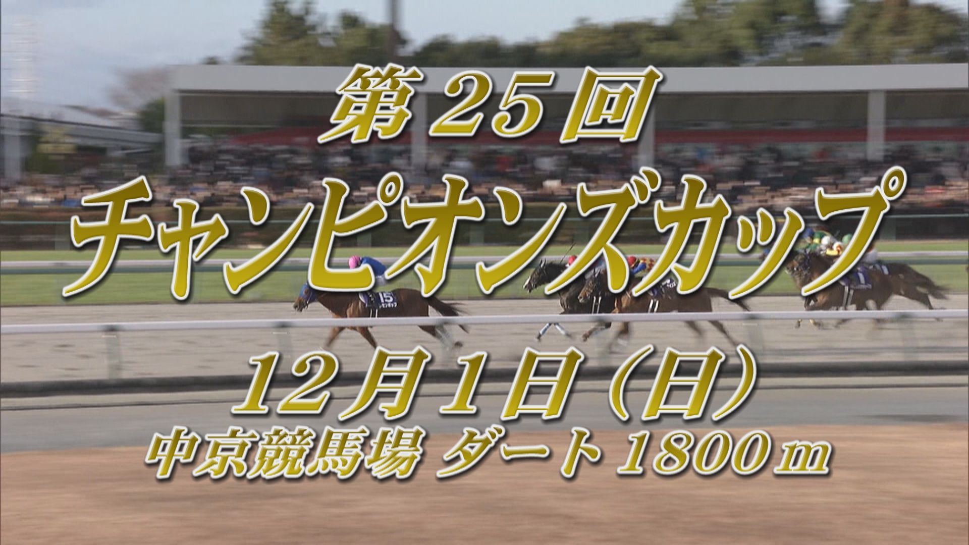 【2024 GＩ チャンピオンズカップ】出走予定馬紹介 12/1（日）中京競馬場