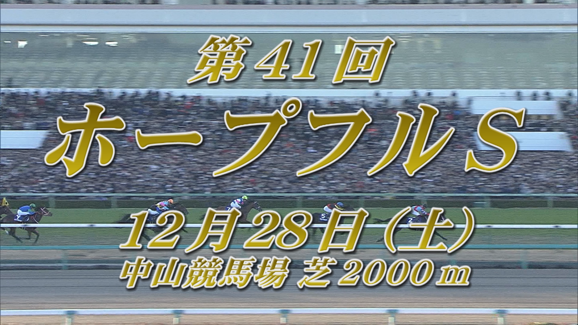 【2024 GＩ ホープフルステークス】出走予定馬紹介 12/28（土）中山競馬場