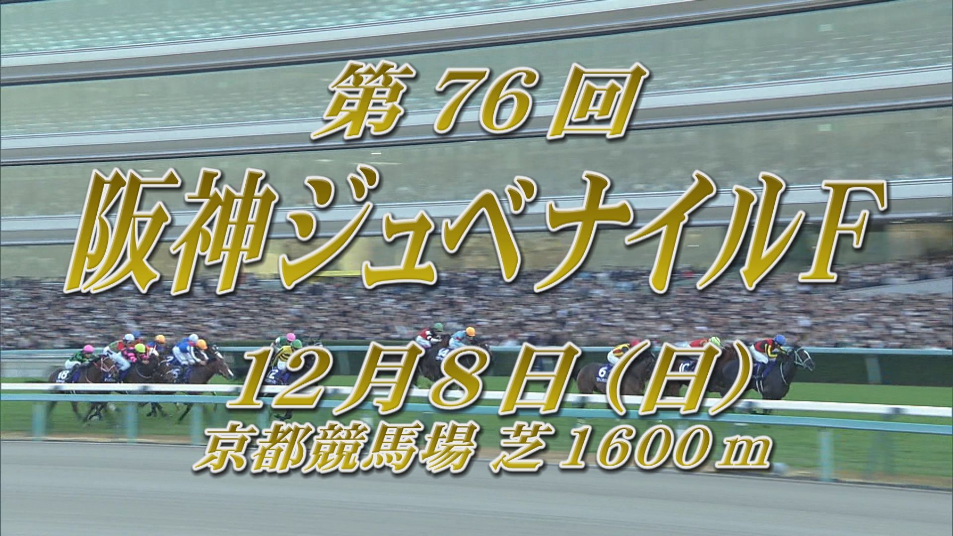 【2024 GＩ 阪神ジュベナイルフィリーズ】出走予定馬紹介 12/8（日）阪神競馬場