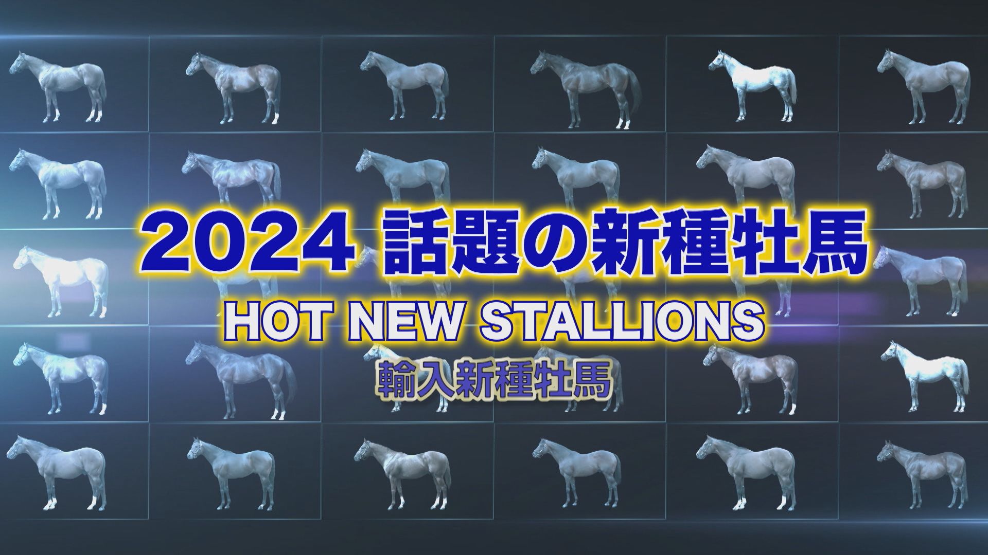 2024年新種牡馬紹介　～輸入馬編～